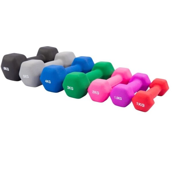 משקולת יד דאמבל בציפוי ניאופרן | Neoprene Dumbbell Weight