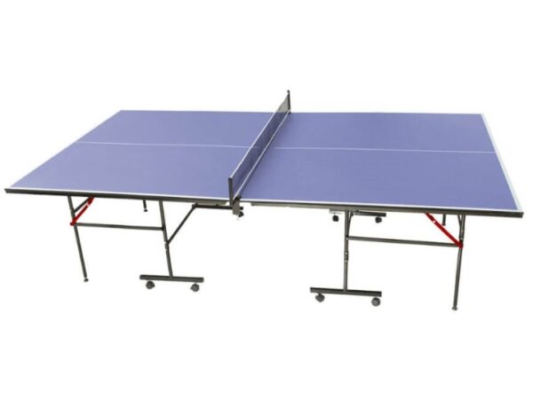 שולחן פינג פונג/טניס שולחן פנים | 110 IN